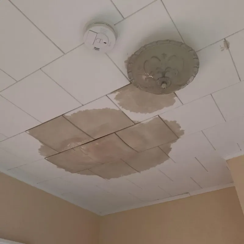 Ceiling Water Damage Repair in Pope County, AR