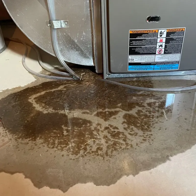 Pipe Burst and Leak Restoration in Pope County, AR