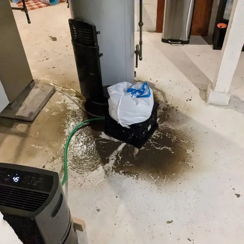 Sewage Backup Cleanup Service in Pope County, AR